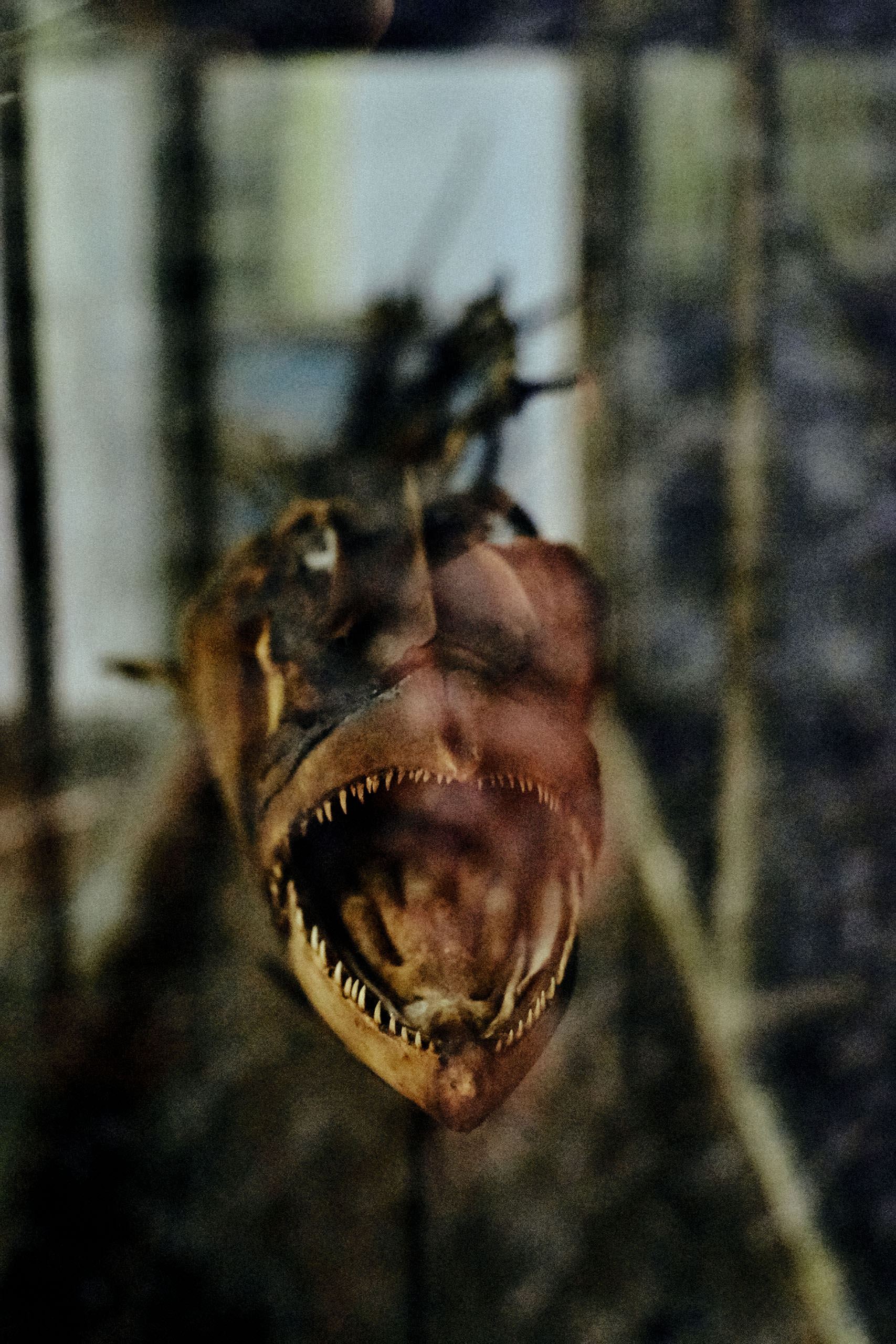 Government Art Museum Chennai